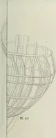 An illustration from Manuale ad uso degli agenti dei boschi e della marina ... (1807)