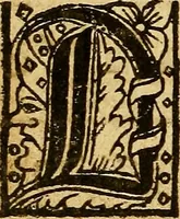 Picture 21 of 49 from Manuale ad vsu[m] sagien[sem] (1515), leaf 101