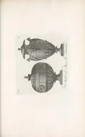 Picture 3 of 13 from Manuale di varj ornamenti componenti la serie de' vasi antichi : si' di marmo che di bronzo esistenti in Roma e fuori (1821), leaf 235