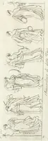 An illustration from Manuale di varj ornamenti componenti la serie de' vasj antichi : si' di marmo che di bronzo esistenti in Roma e fuori (1821)