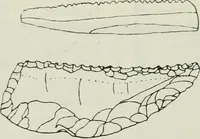 Picture 194 of 264 from Manual of Egyptian archæology and guide to the study of antiquities in Egypt. For the use of students and travellers (1914), leaf 303