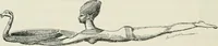 Picture 218 of 264 from Manual of Egyptian archæology and guide to the study of antiquities in Egypt. For the use of students and travellers (1914), leaf 341