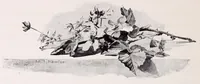 An illustration from A manual for China painters. being a practical and comprehensive treatise on the art of painting China and glass with mineral colors (1897)