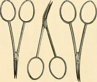 Picture 30 of 45 from A manual for managers, designers, weavers, and all others connected with the manufacture of textile fabrics, containing definitions, derivations and explanations of technical terms, the use made of many substances; rules, tables, and some elementary instructions for beginners (1881), leaf 300