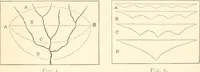 Picture 2 of 80 from Manual for railroad engineers and engineering students : containing the rules and tables needed for the location, construction, and equipment of railroads as built in the United States (1883), leaf 40