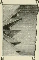 Picture 30 of 188 from A manual of the mechanics of engineering and of the construction of machines. Designed as a text-book for technical schools and colleges, and for the use of engineers, architects, etc. (1878), leaf 184