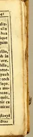 An illustration from Manual mexicano, de la administracion de los santos sacramentos, conforme al Manual Toledano. (1634)