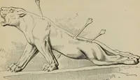 An illustration from A manual of ancient sculpture, Egyptian - Assyrian - Greek - Roman (1886)