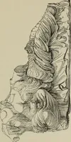 An illustration from A manual of ancient sculpture, Egyptian - Assyrian - Greek - Roman (1886)