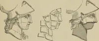 An illustration from A manual of ancient sculpture, Egyptian - Assyrian - Greek - Roman (1886)