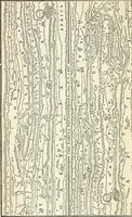 An illustration from Manual of classical literature : from the German of J.J. Eschenburg, with additions (1855)