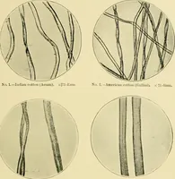 Picture 1 of 68 from A manual of dyeing: for the use of practical dyers, manufacturers, students, and all interested in the art of dyeing (1919), leaf 38