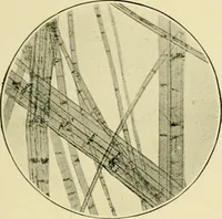 Picture 5 of 68 from A manual of dyeing: for the use of practical dyers, manufacturers, students, and all interested in the art of dyeing (1919), leaf 58