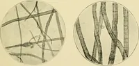 Picture 7 of 68 from A manual of dyeing: for the use of practical dyers, manufacturers, students, and all interested in the art of dyeing (1919), leaf 58