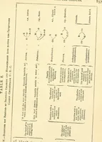 An illustration from A manual of dyeing: for the use of practical dyers, manufacturers, students, and all interested in the art of dyeing (1919)
