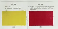Picture 1 of 12 from A manual of dyeing : for the use of practical dyers, manufacturers, students, and all interested in the art of dyeing (1893), leaf 13