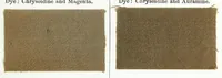 An illustration from A manual of dyeing : for the use of practical dyers, manufacturers, students, and all interested in the art of dyeing (1893)