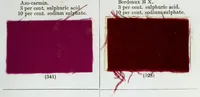An illustration from A manual of dyeing : for the use of practical dyers, manufacturers, students, and all interested in the art of dyeing (1893)