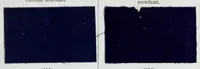 An illustration from A manual of dyeing : for the use of practical dyers, manufacturers, students, and all interested in the art of dyeing (1893)