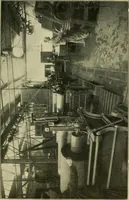 An illustration from A manual of dyeing with the dyestuffs of the Cassella color company, New York .. (1911)