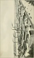 An illustration from A manual of dyeing with the dyestuffs of the Cassella Color Company, New York (1908)