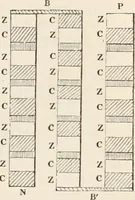 An illustration from A manual of electricity, magnetism and meteorology (1844)