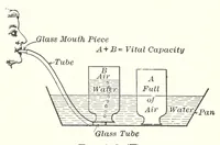 Picture 16 of 16 from A Manual of Experiments in Elementary Science: Teacher's Edition (1918), leaf 223