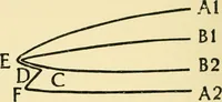 An illustration from Manual of library bookbinding practical and historical (1911)
