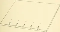 An illustration from Manual of library bookbinding practical and historical (1911)