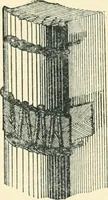 An illustration from Manual of library bookbinding practical and historical (1911)
