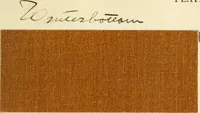 Picture 14 of 34 from Manual of library bookbinding practical and historical (1911), leaf 68