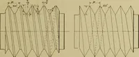 An illustration from A manual of mechanical drawing (1907)