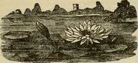An illustration from Manual of needlework. Teaching how to do Kensington, applique, cretonne, roman, cross-stitch, outline and other embroideries .. (1883)