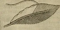 An illustration from Manual of needlework. Teaching how to do Kensington, applique, cretonne, roman, cross-stitch, outline and other embroideries .. (1883)