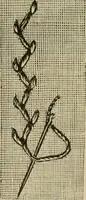 An illustration from Manual of needlework. Teaching how to do Kensington, applique, cretonne, roman, cross-stitch, outline and other embroideries .. (1883)