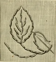 An illustration from Manual of needlework. Teaching how to do Kensington, applique, cretonne, roman, cross-stitch, outline and other embroideries .. (1883)