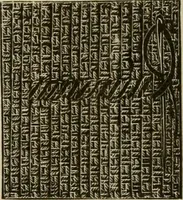 An illustration from Manual of needlework. Teaching how to do Kensington, applique, cretonne, roman, cross-stitch, outline and other embroideries .. (1883)