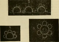 An illustration from Manual of needlework. Teaching how to do Kensington, applique, cretonne, roman, cross-stitch, outline and other embroideries .. (1883)