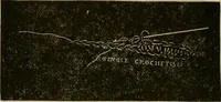 An illustration from Manual of needlework. Teaching how to do Kensington, applique, cretonne, roman, cross-stitch, outline and other embroideries .. (1883)