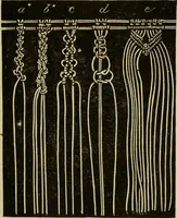 An illustration from Manual of needlework. Teaching how to do Kensington, applique, cretonne, roman, cross-stitch, outline and other embroideries .. (1883)