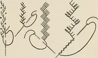 An illustration from A manual of needlework, knitting and cutting out for evening continuation schools (1894)