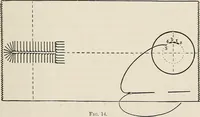 An illustration from A manual of needlework, knitting and cutting out for evening continuation schools (1894)