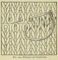 Picture 9 of 14 from A manual of plain needlework and cutting-out (1886), leaf 76