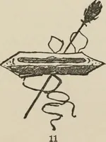 An illustration from A manual of pottery and porcelain for American collectors (1872)