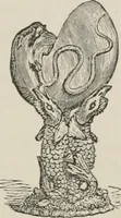 An illustration from A manual of pottery and porcelain for American collectors (1872)
