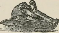 An illustration from A manual of pottery and porcelain for American collectors (1872)