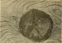 An illustration from Manual of recommended practice for railway engineering and maintenance of way (1905)