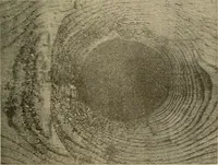 An illustration from Manual of recommended practice for railway engineering and maintenance of way (1905)