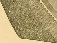 An illustration from The manual of reference of the textile workers of America (1896)