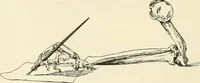 An illustration from A manual of the study of documents to establish the individual character of handwriting and to detect fraud and forgery, including several new methods of research (1894)